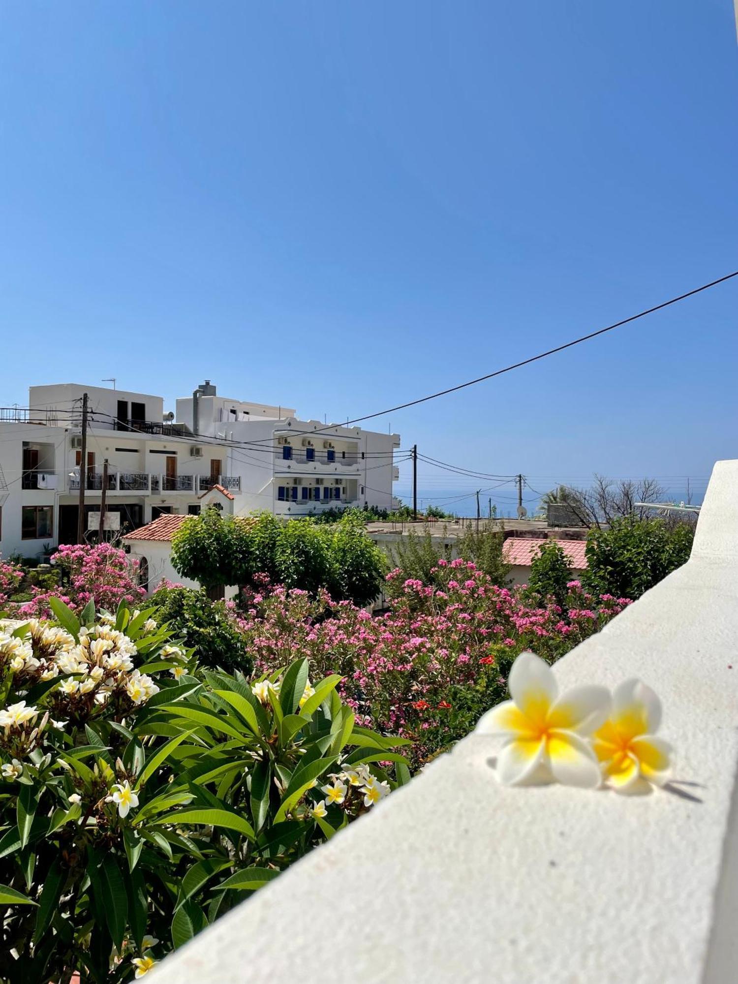 Panorama Rooms Agia Roumeli Exterior foto